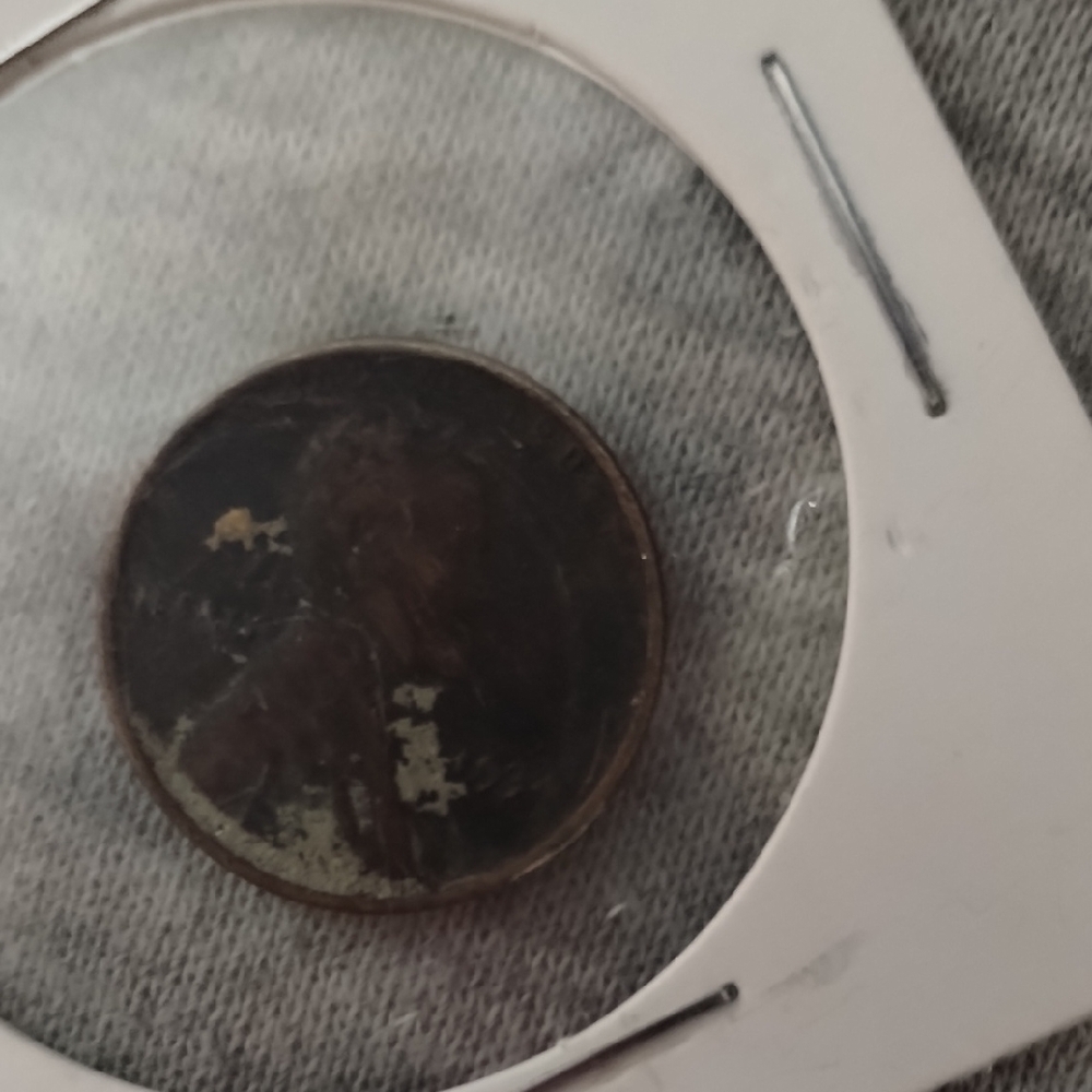 Vintage Coin in Protective Sleeve